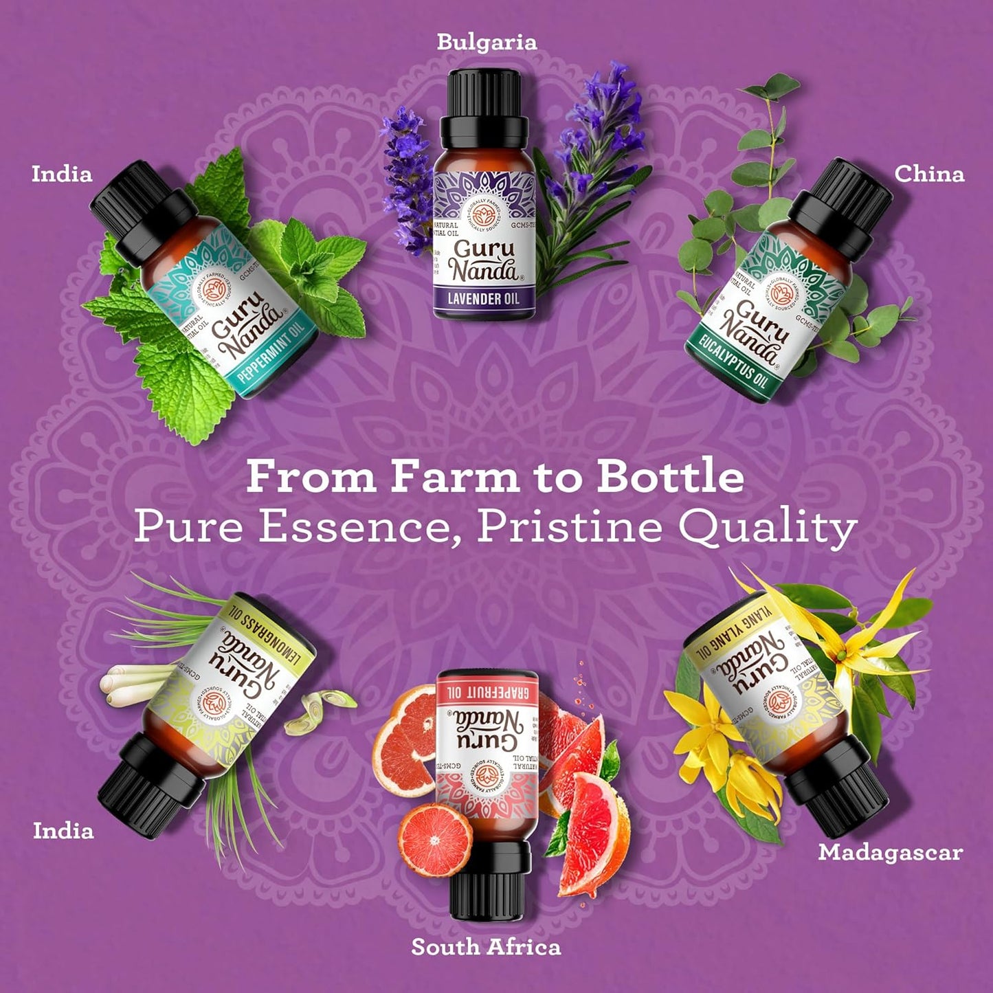 Guru Nanda (Set of 6) Therapeutic Grade Essential Oils - 100% Pure & Natural Aromatherapy Single Notes for Oil Diffusers & Topical Use - Lavender, Peppermint, Eucalyptus, Orange, Lemongrass, Cedarwood